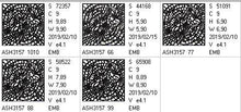 Load image into Gallery viewer, FALSE