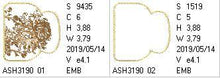 Load image into Gallery viewer, FALSE