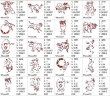 Load image into Gallery viewer, FALSE