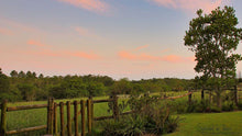 Load image into Gallery viewer, Natures Valley 01