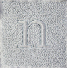 Load image into Gallery viewer, Trapunto Educational Quilt 02