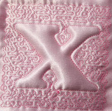 Load image into Gallery viewer, Trapunto Educational Quilt 01
