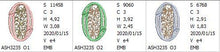 Load image into Gallery viewer, French Knot Monogram O
