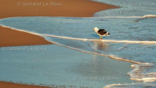 Load image into Gallery viewer, Eersterivier at the Beach 01
