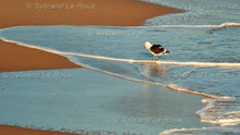Load image into Gallery viewer, Eersterivier at the Beach 02
