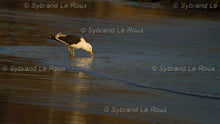 Load image into Gallery viewer, Eersterivier at the Beach 01
